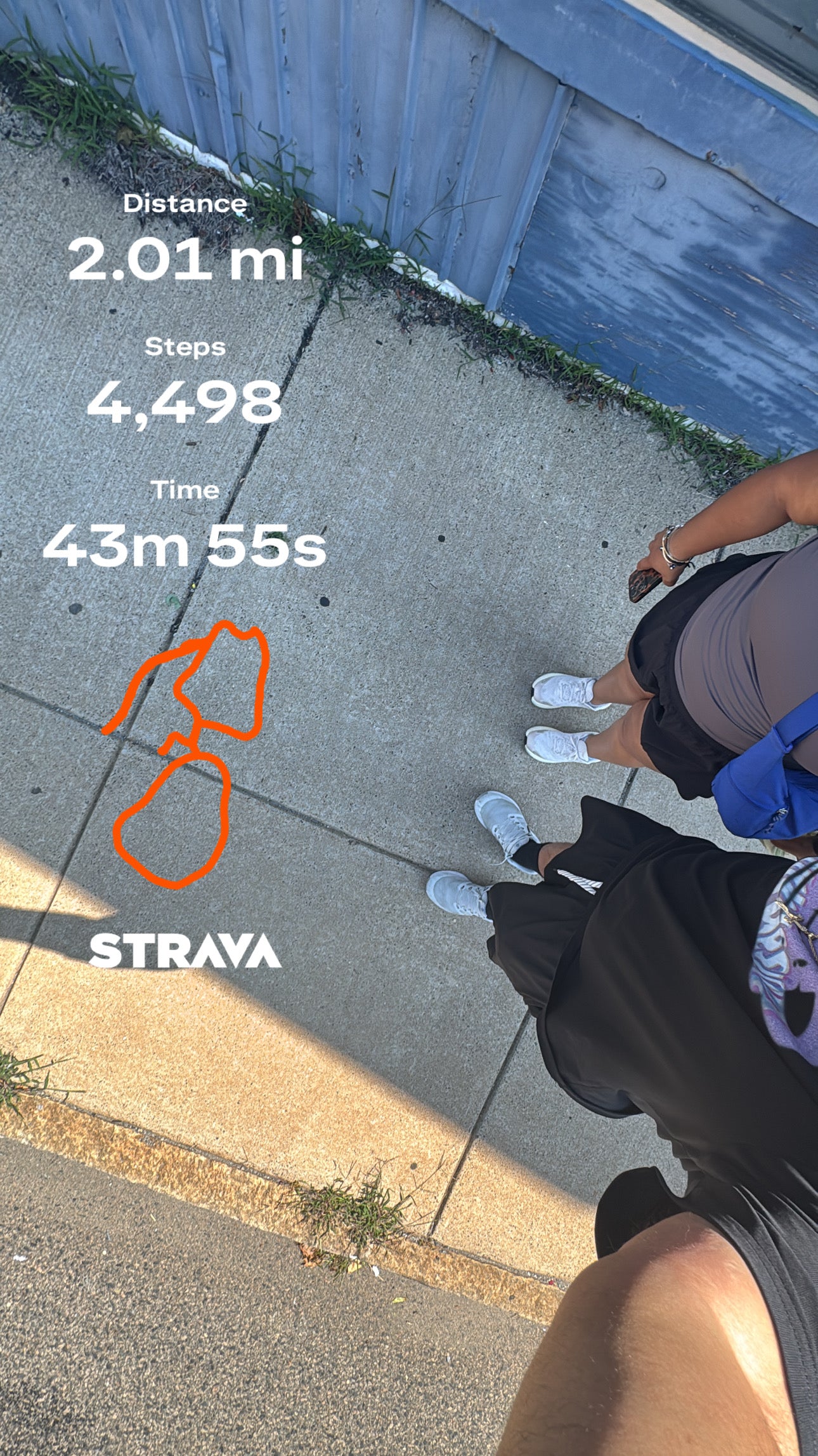 Strava recap from a morning walk at Neponset Park, Dorchester